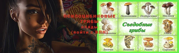 прущие крисы Ельня